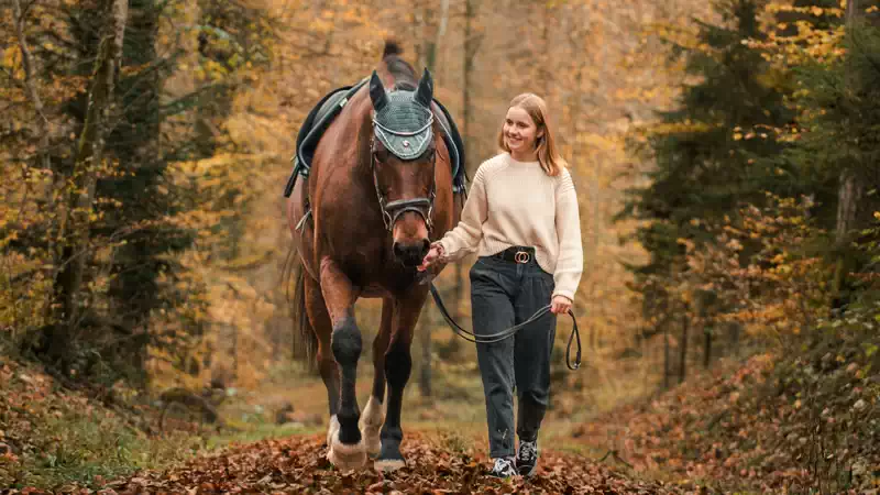 Reiten im Walde